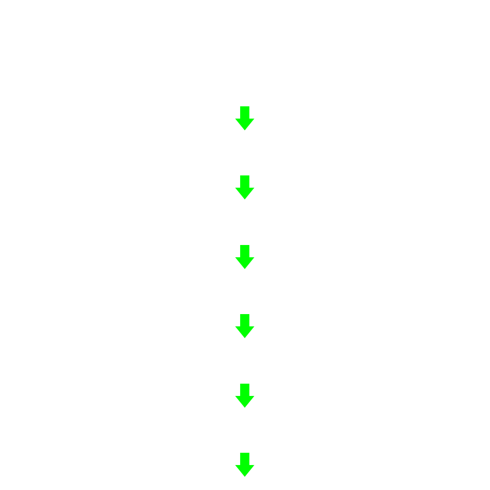 新商品ができるまで