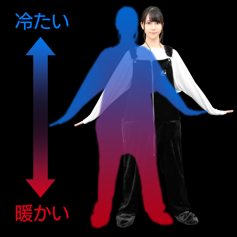 頭寒足熱
