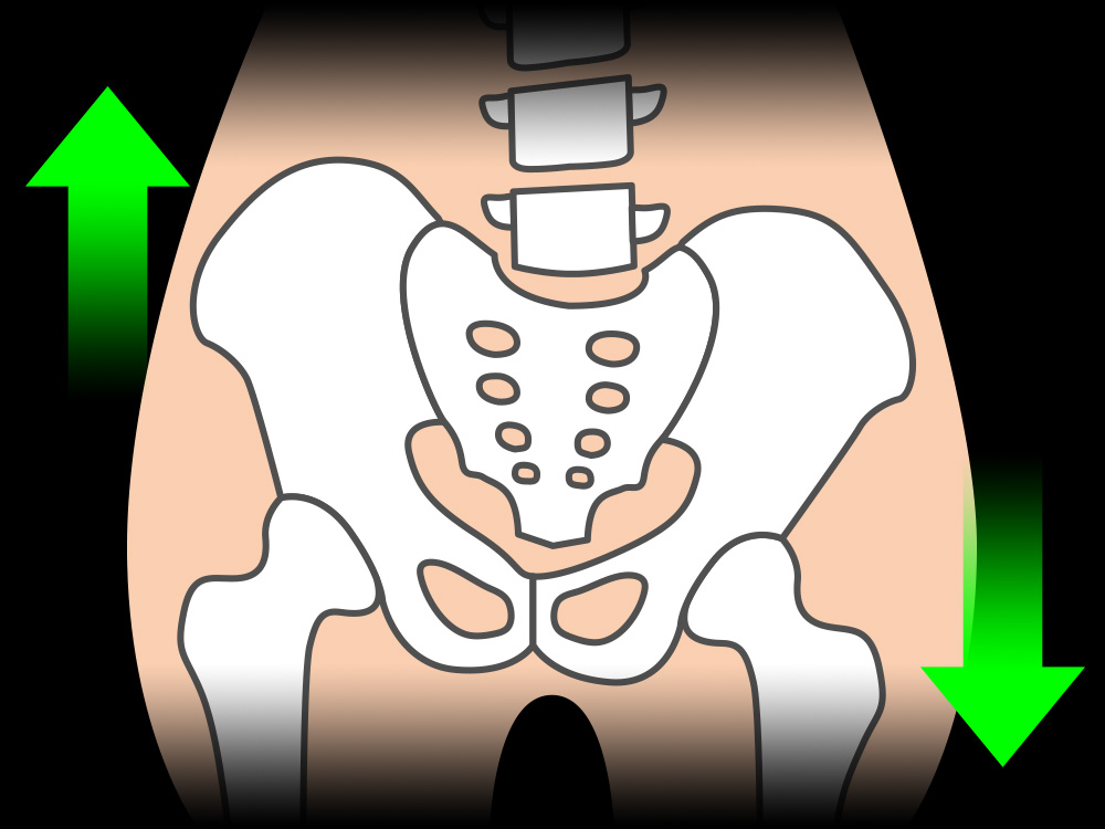 骨盤のゆがみ大丈夫 骨盤の歪みをチェックする5つの方法 Bauhutte