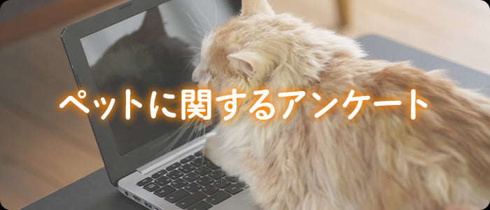 ペットに関するアンケート